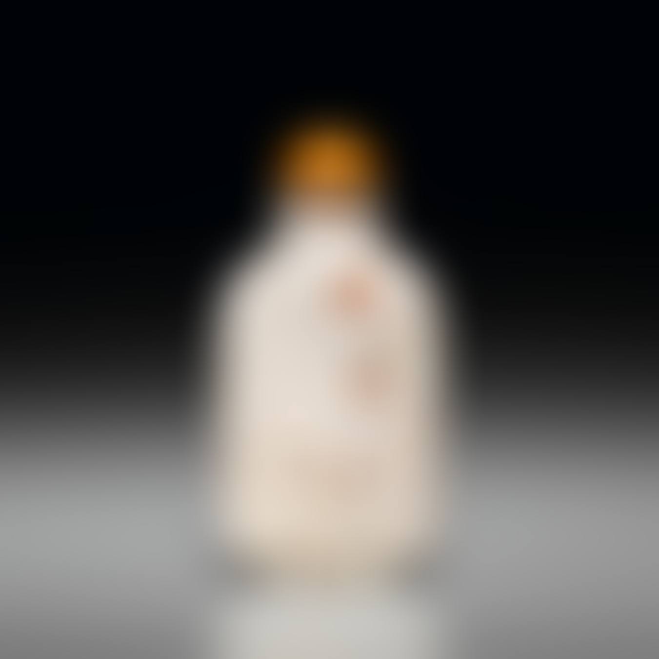 A fossiliferous limestone snuff bottle (preview)