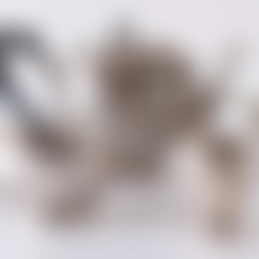 COFFEE AND TEA SERVICE (preview)
