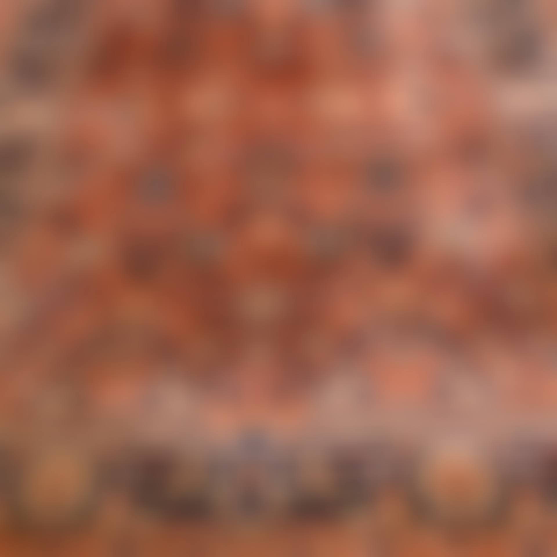 TABRIZ CARPET (preview)