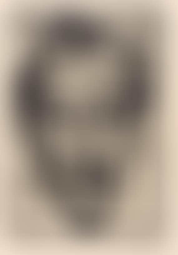 Bildnis Dr. Freundlich (preview)