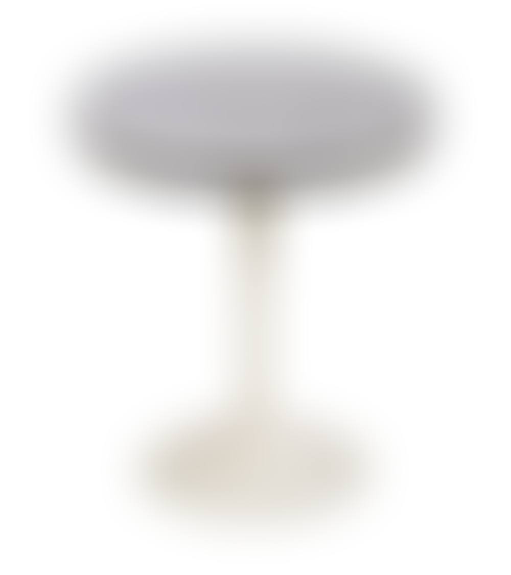 Occasional Table of the iconic "tulip"  (preview)