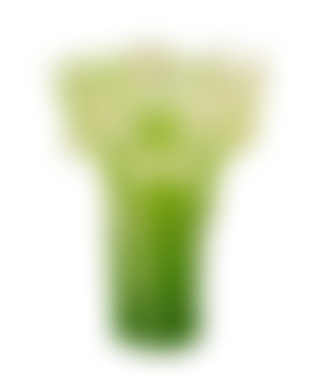 Pate de Verre Glass Orchid Vase (preview)