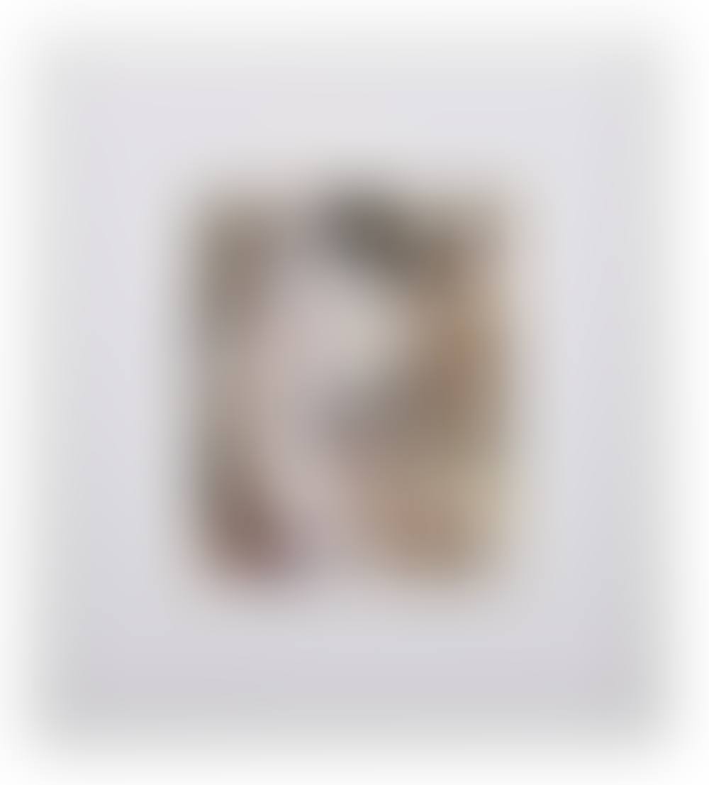 "Silk Moth" (preview)