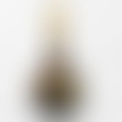 A so-called "soliflore" cameo glass vase (preview)