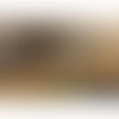Herzele (preview)