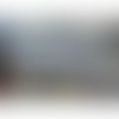 The river Scheldt. (preview)