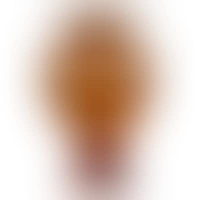 "Ombelles" baluster vase with flaring neck (preview)