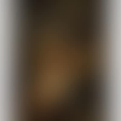 Portrait of a lady (preview)