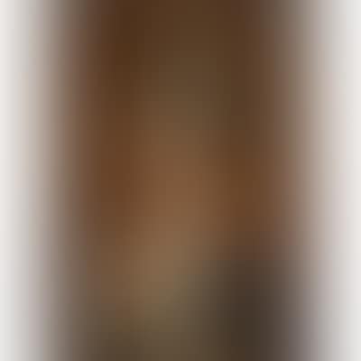 Portrait of a lady (preview)