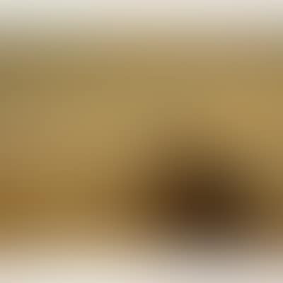 Moored boats (preview)