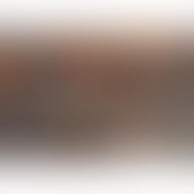 ‘Vision lunaire" (preview)