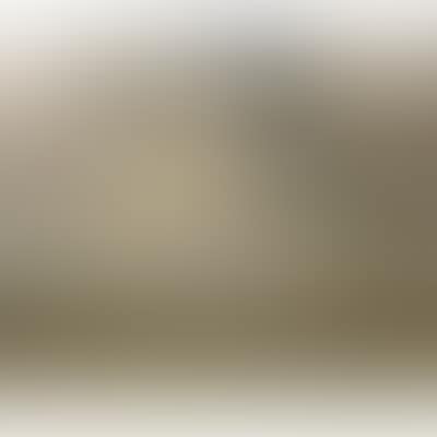 Surroundings of Knokke (preview)