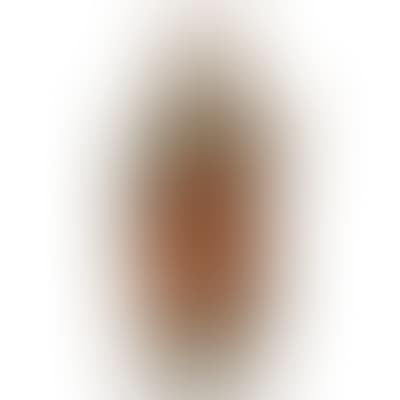 Blessing abbot (preview)