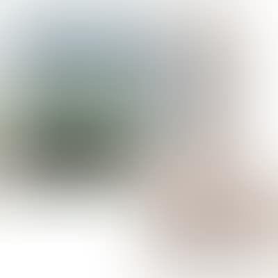 Set of four colour lithographs (preview)