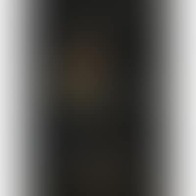 Portrait of a man in the 17th century style (preview)