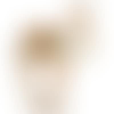 Camel (preview)