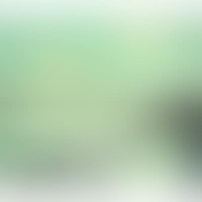 Effet de lune Escaut Rupelmonde (preview)