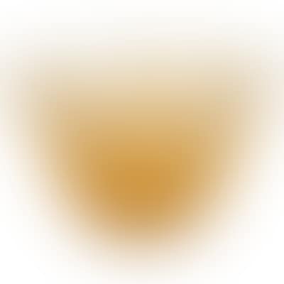 Everted translucid yellow glass bowl  (preview)