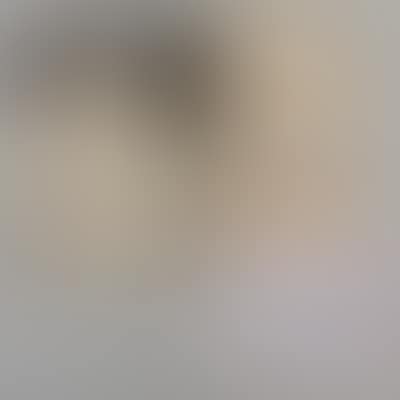 "Mass moving. Human incubation"; "Academica Curiosum" (preview)