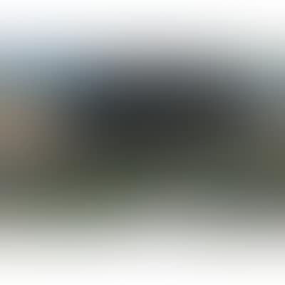 Landscape (preview)