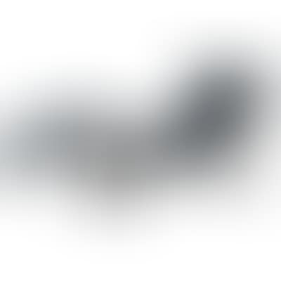 Lounge chair, model "LC4" (preview)
