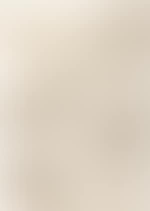 St. Thomas receives the belt from the Virgin Mary (preview)