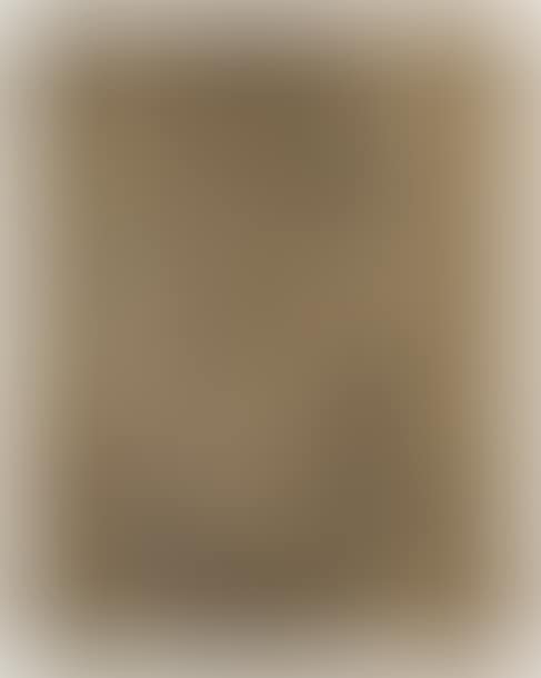 Seated woman (preview)