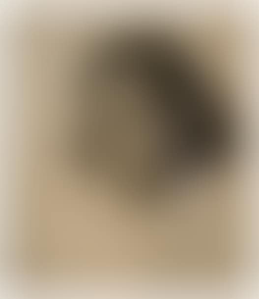 Portrait of a young girl (preview)