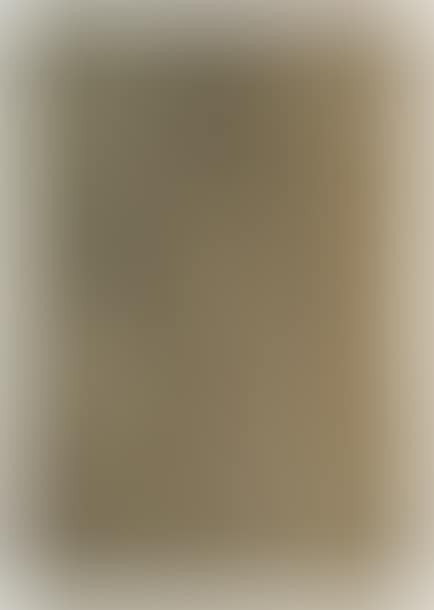 Portrait of a woman (preview)