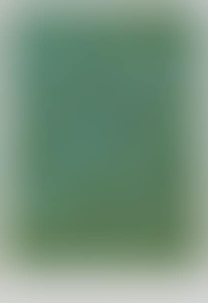 Homage to Marcel Duchamp (preview)