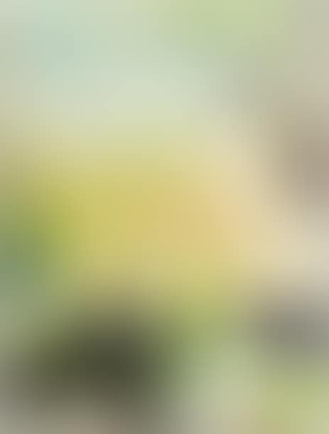 Composition (preview)