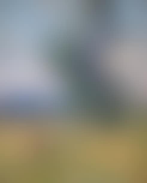 Woman and child in a landscape (preview)