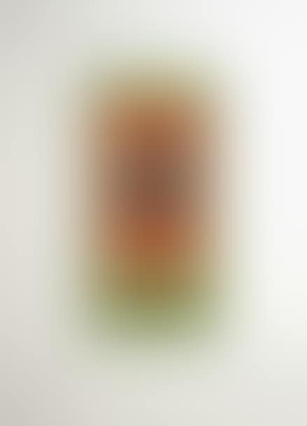 Face (preview)