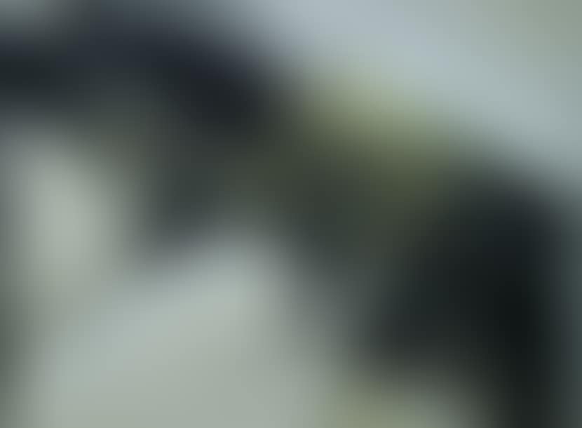 Abstraction (preview)
