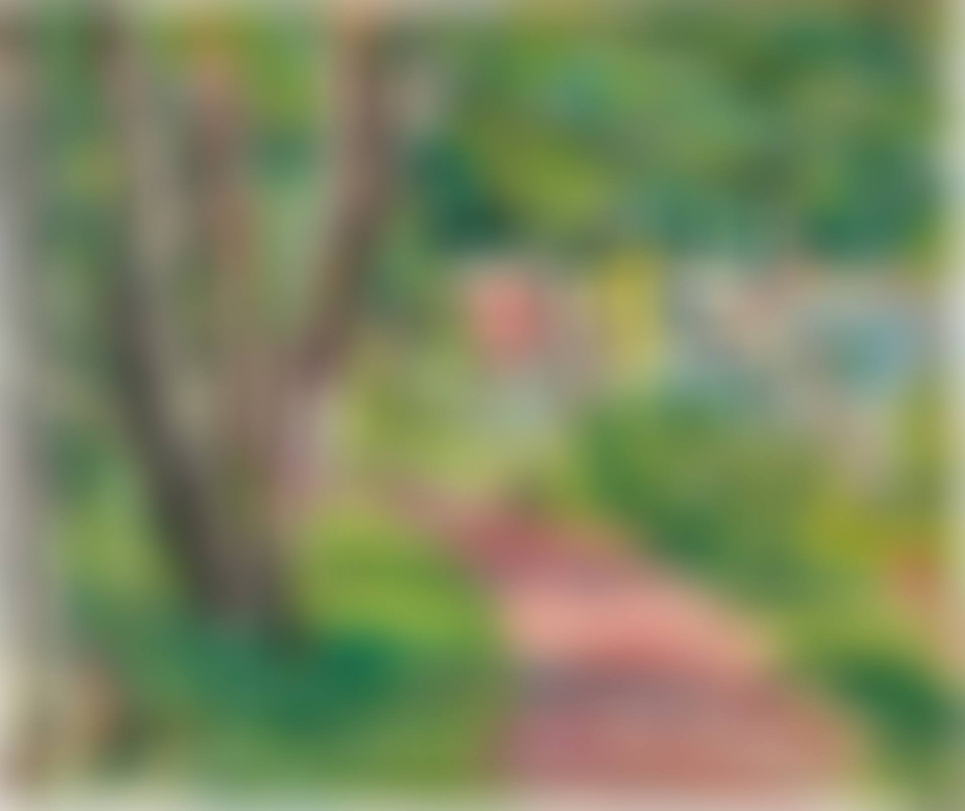 On the Banks of Loch Lomond (preview)