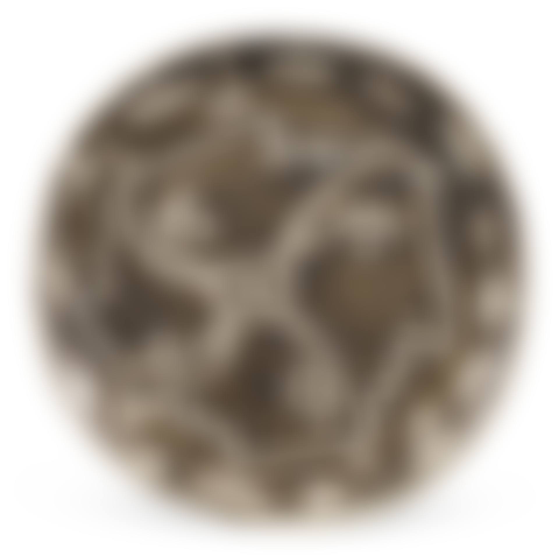 QUATRE PROFILS ENLACÉS (A. R. 88) (preview)