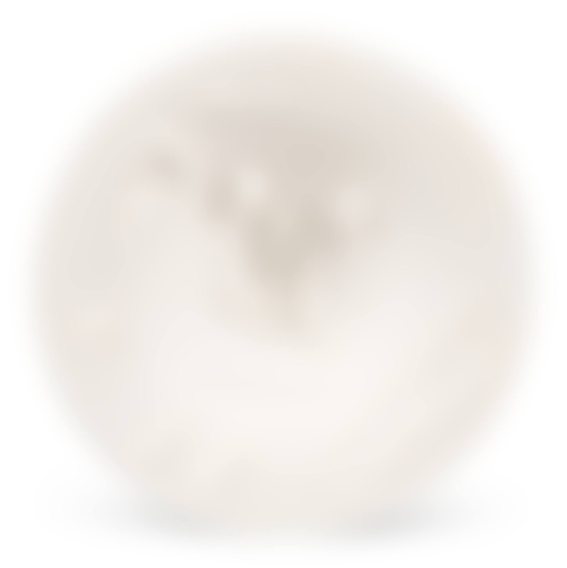 VISAGE DE FACE (A. R. 507) (preview)