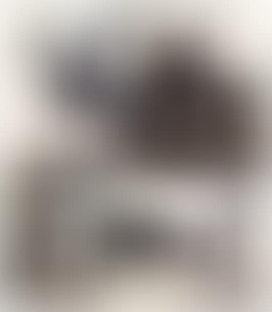 Corrida 3 (preview)