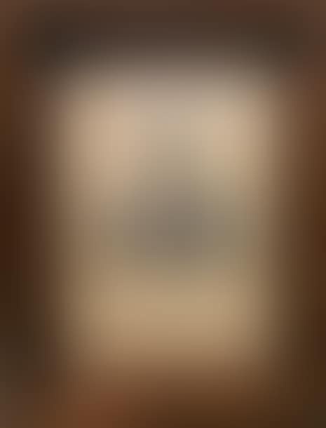 Portrait of young woman in costume (preview)