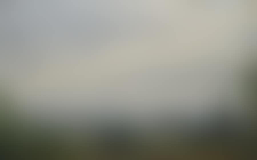 Landscapes (preview)