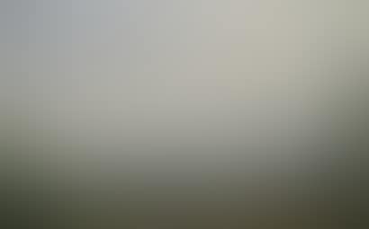 Landscapes (preview)