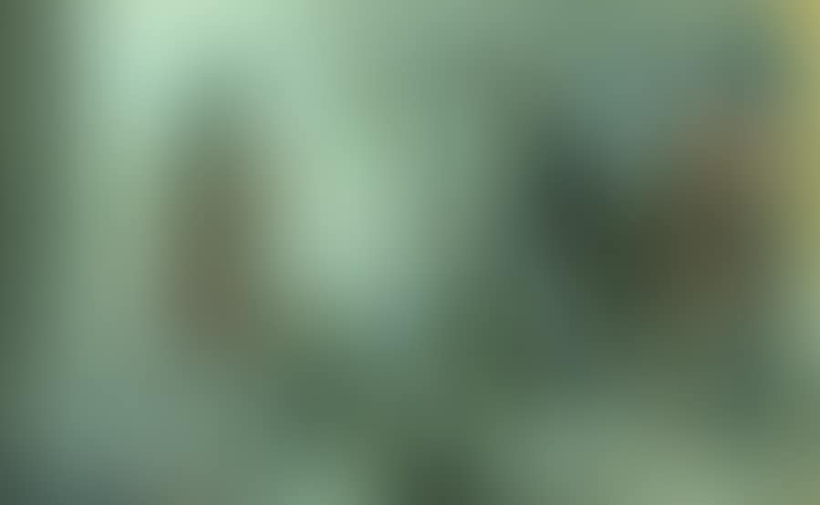 Characters in an interior (preview)