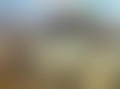 Women in front of a farm (preview)