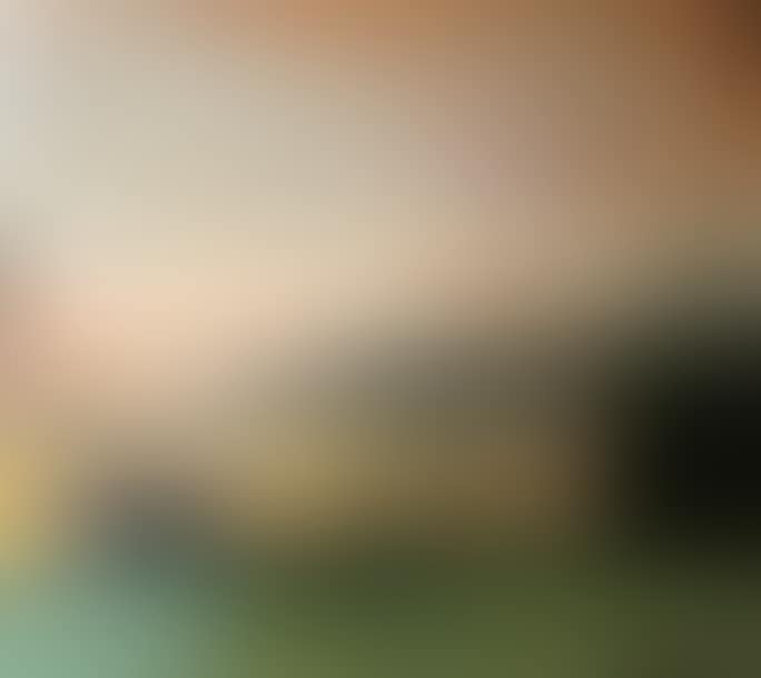 Landscape (preview)