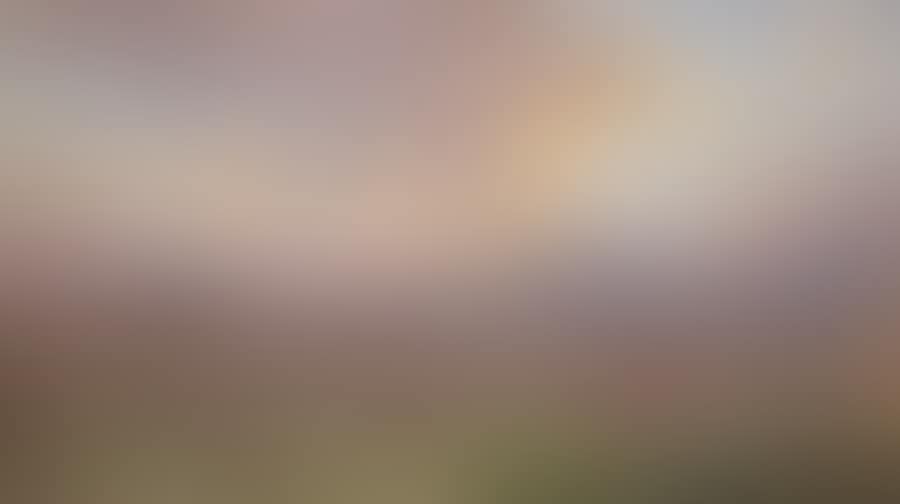 Landscape at dusk (preview)