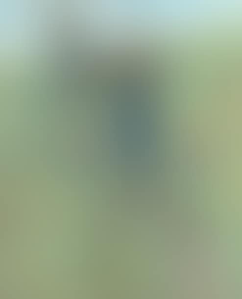Dutch porters (preview)