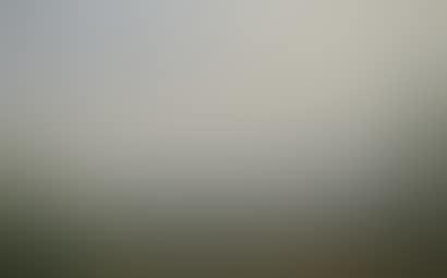 Landscapes (preview)