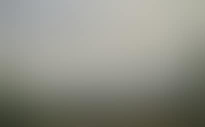 Landscapes (preview)