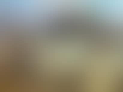 Women in front of a farm (preview)