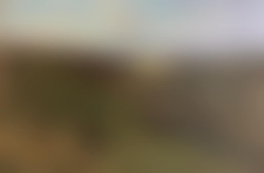Pastures (preview)